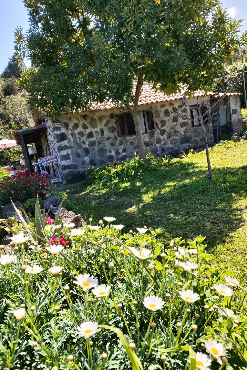 Maison de Vacances Icod de los Vinos