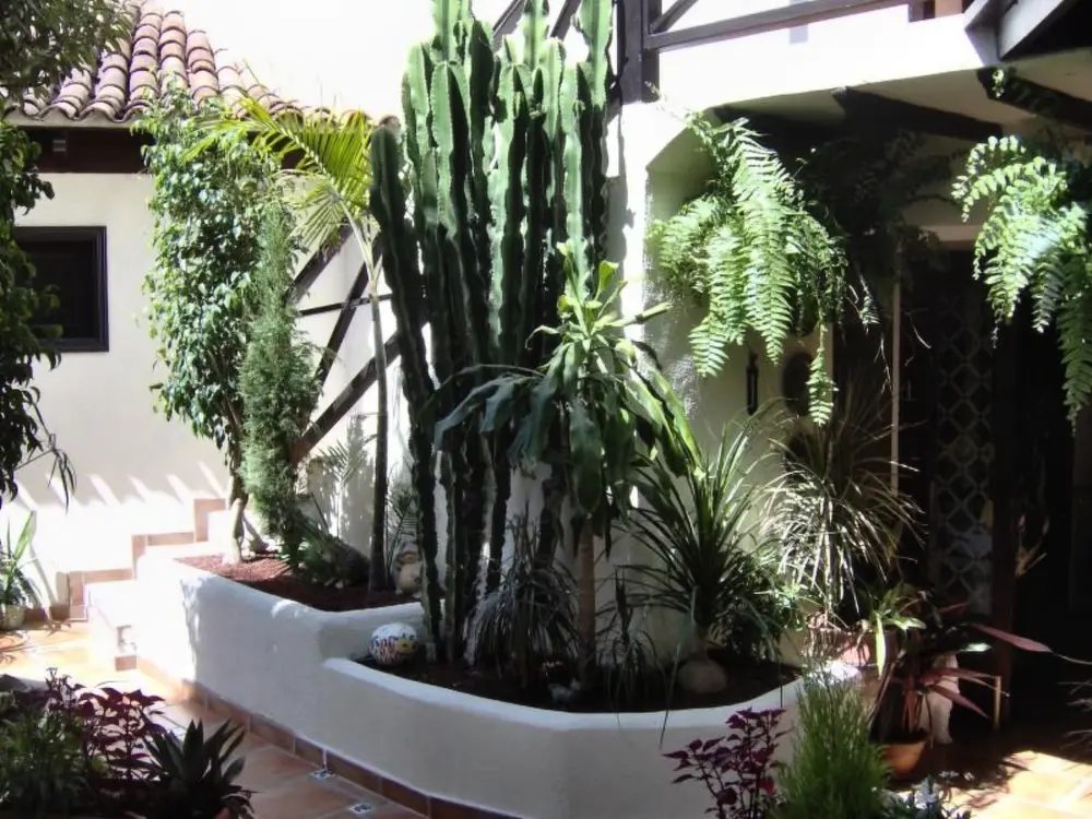Résidence für 2 Personen ca. 45 m&sup2; in Icod de los Vinos, Teneriffa (Nordküste von Te