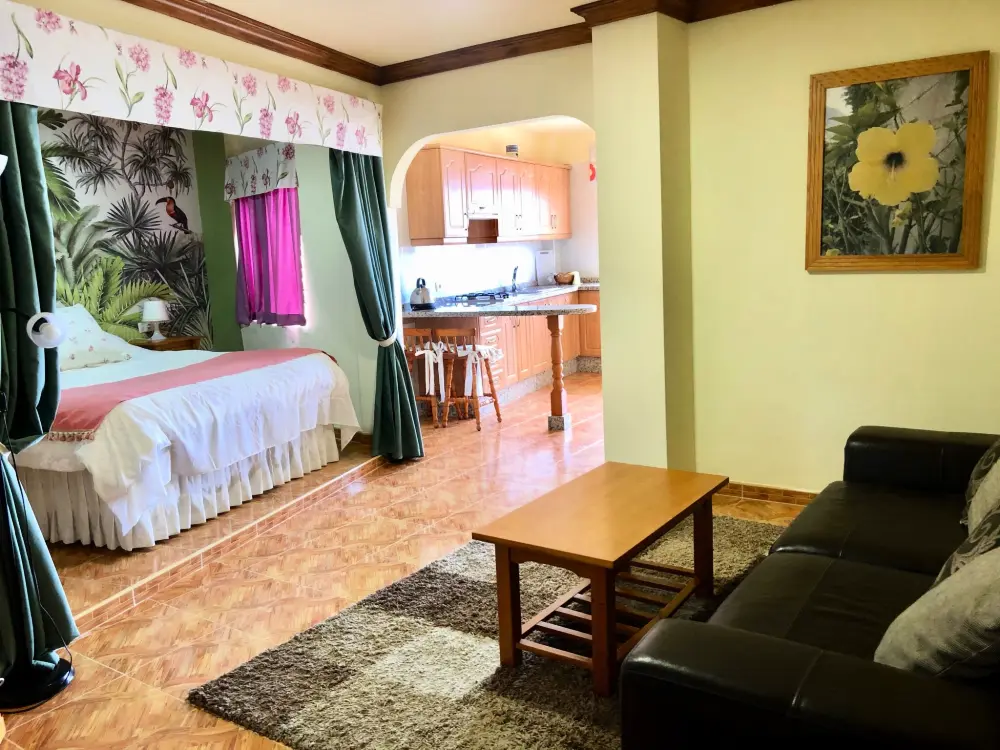 Résidence Superior 1-Zimmer-Wohnung mit Terrasse und Meerblick