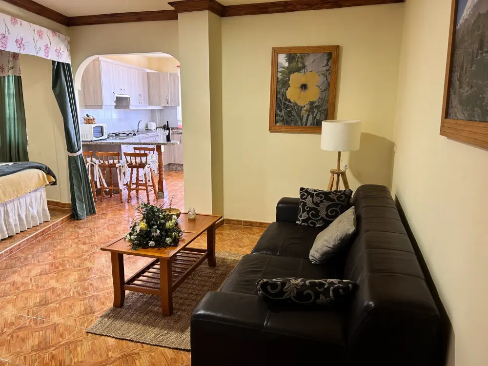 Résidence Superior 1-Zimmer-Wohnung mit Terrasse und Meerblick