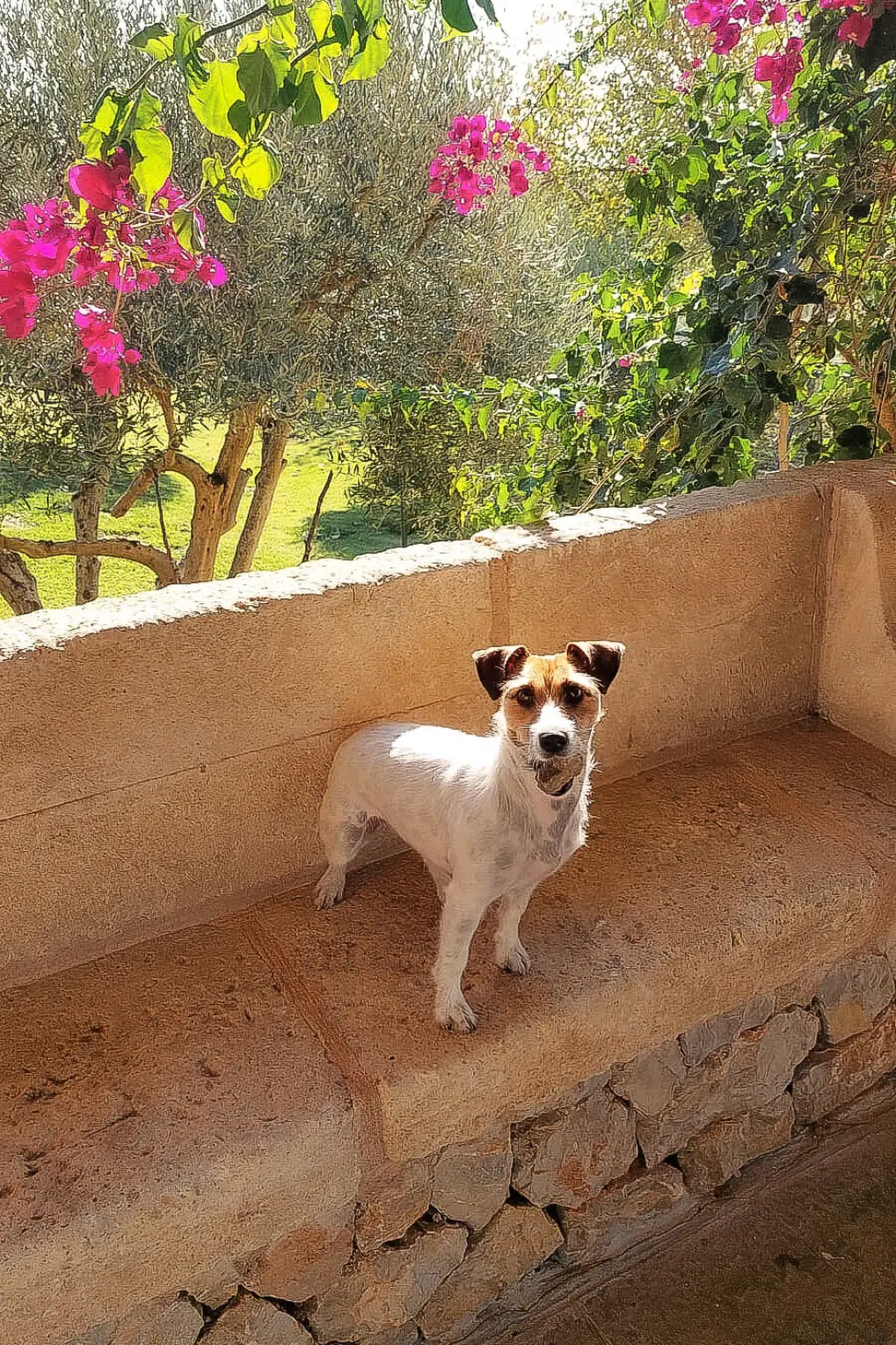 Maison de Vacances Inca