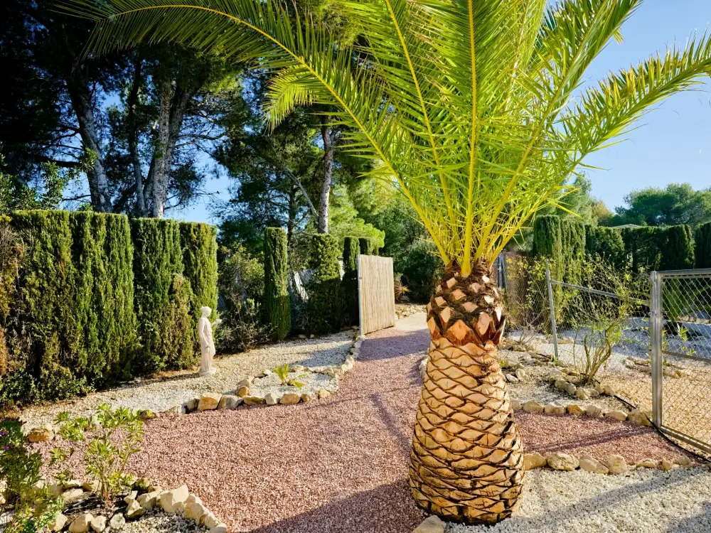 Maison de Vacances Javea