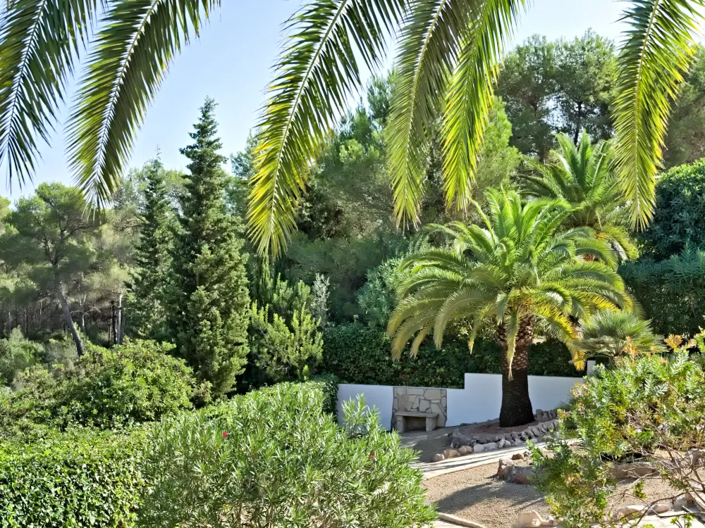 Maison de Vacances Javea