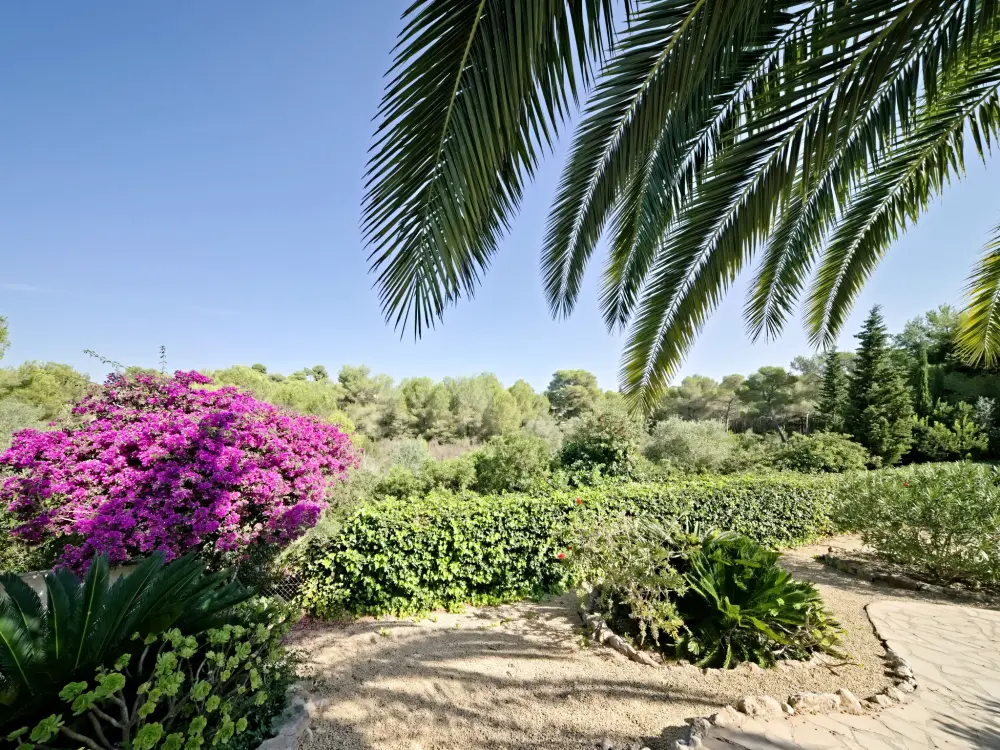 Maison de Vacances Javea