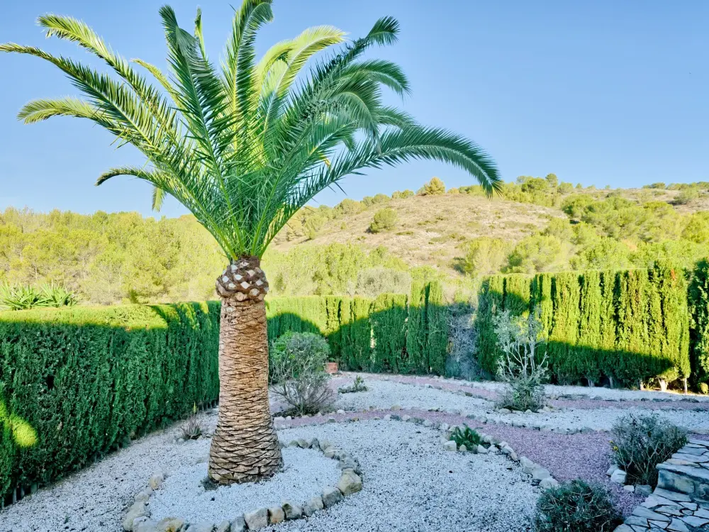 Maison de Vacances Javea