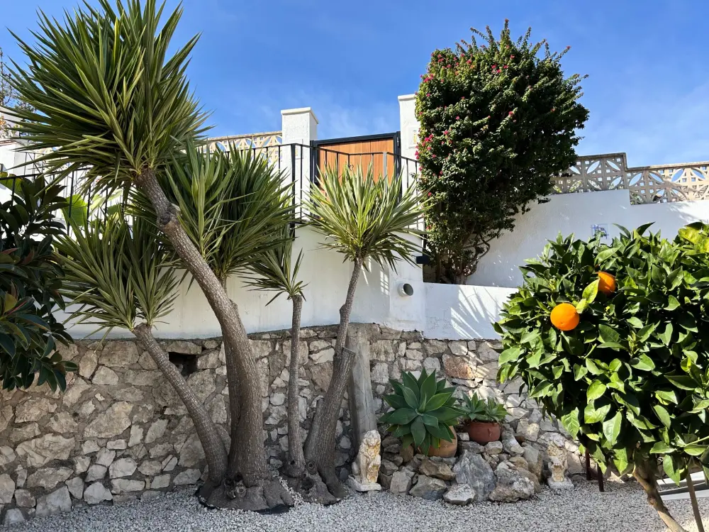 Maison de Vacances Javea