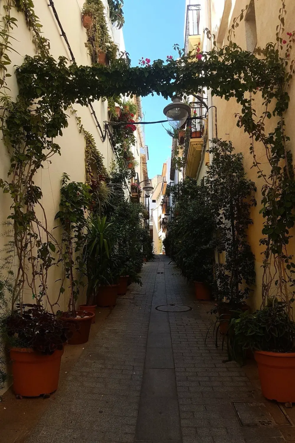 Maison de Vacances Javea