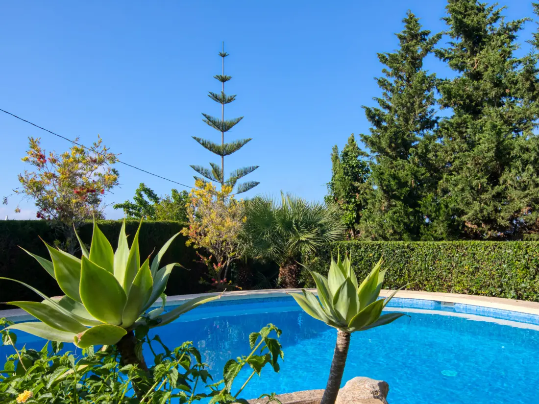 Maison de Vacances Javea