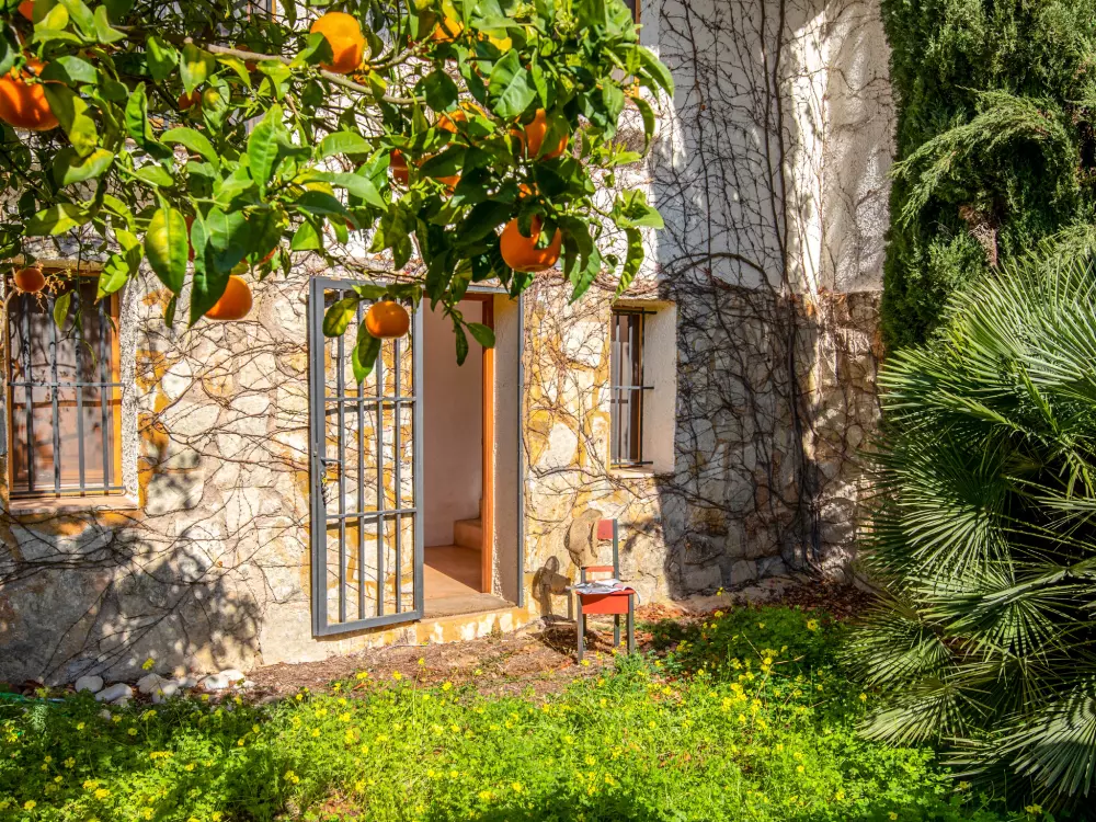 Maison de Vacances Javea