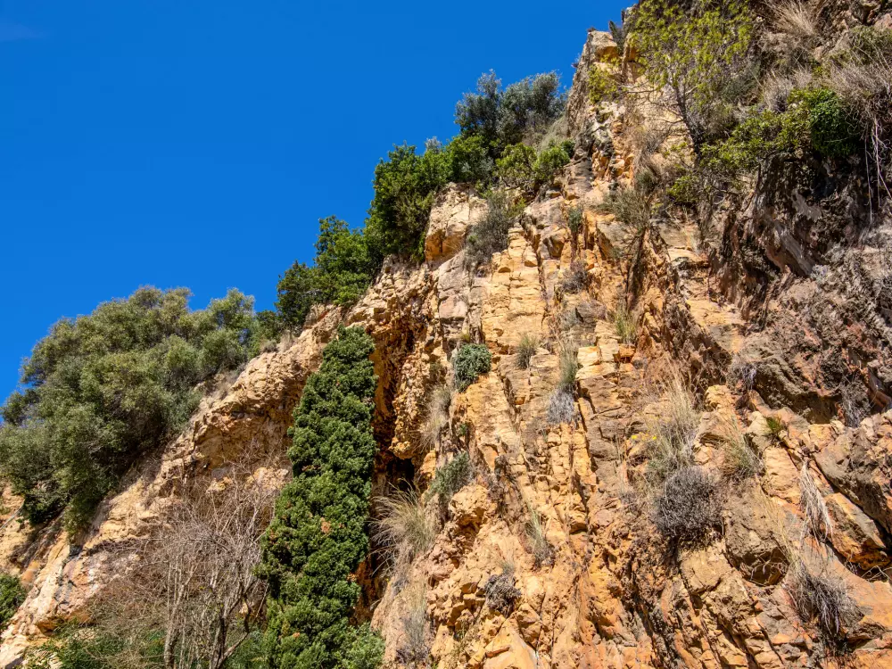 Maison de Vacances Javea