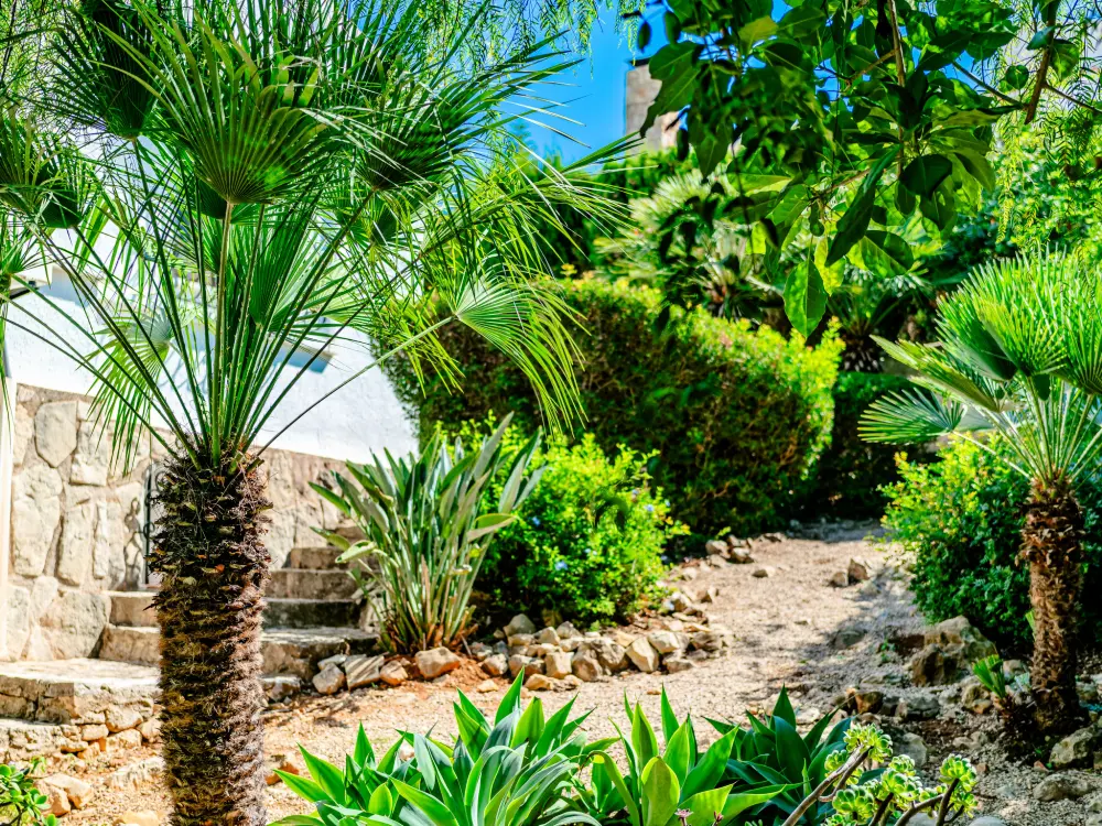 Maison de Vacances Javea