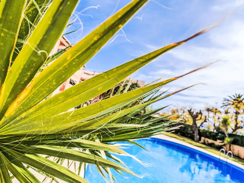 Maison de Vacances Javea
