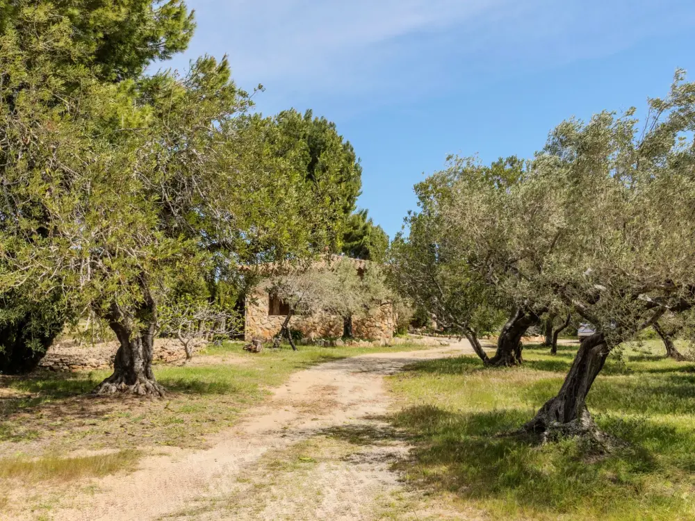 Maison de Vacances L'Ametlla de Mar