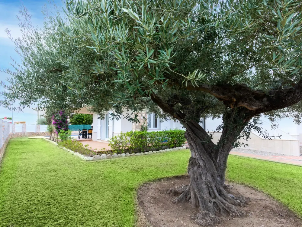 Maison de Vacances L'Ametlla de Mar
