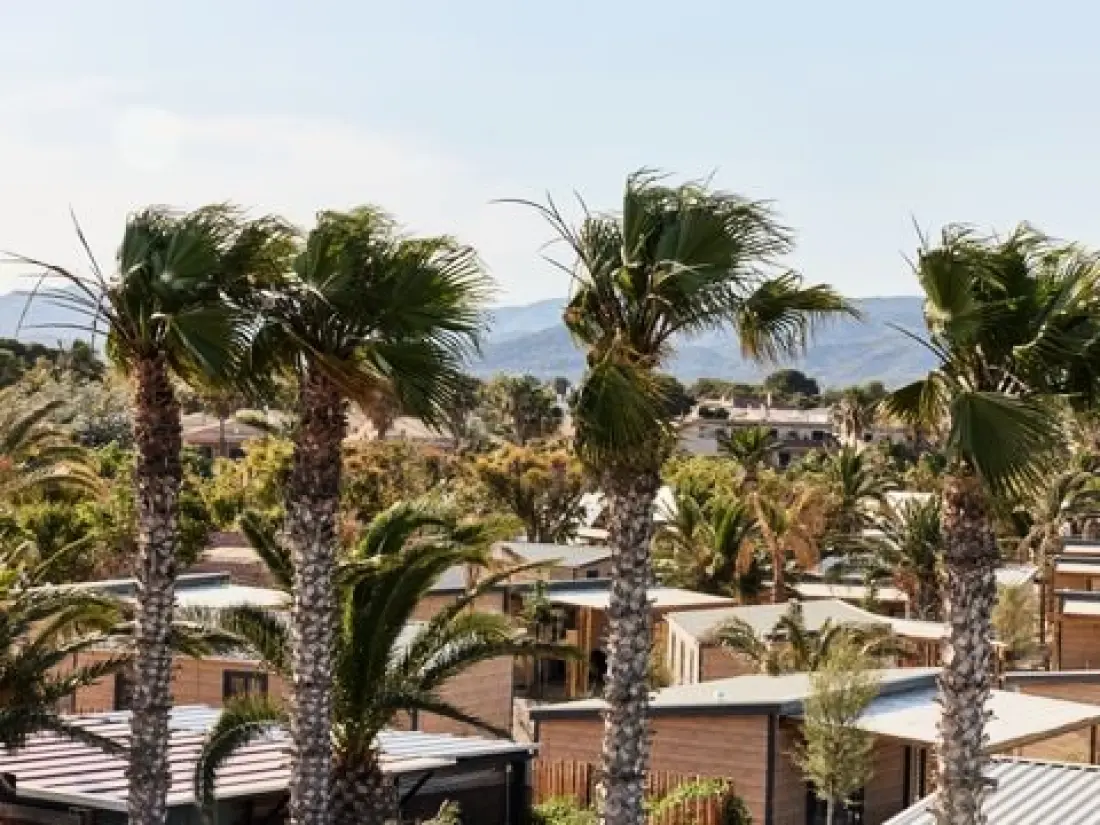 TAIGA Delta De L'Ebre 4 étoiles★★★★