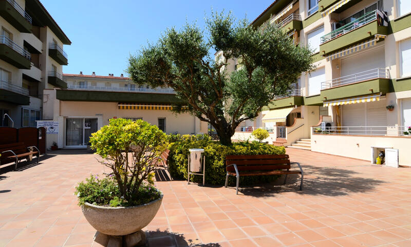 Appartements à L'Estartit - - L'Estartit - 4