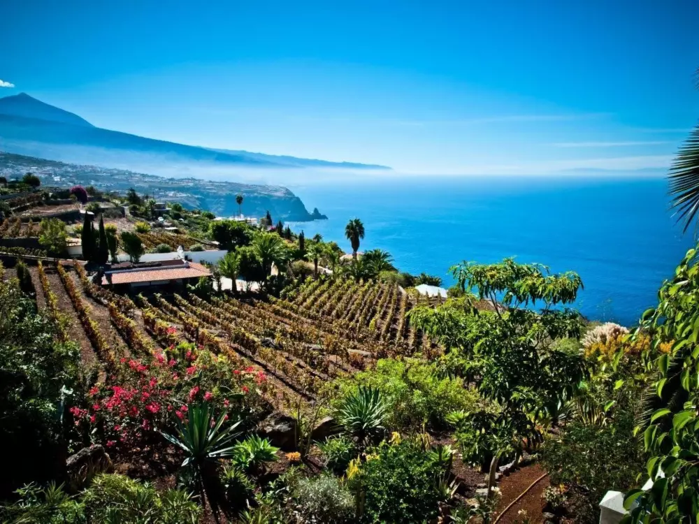 Résidence Wohnung in La Matanza De Acentejo mit Terrasse, gemeinsamem Pool und Garten