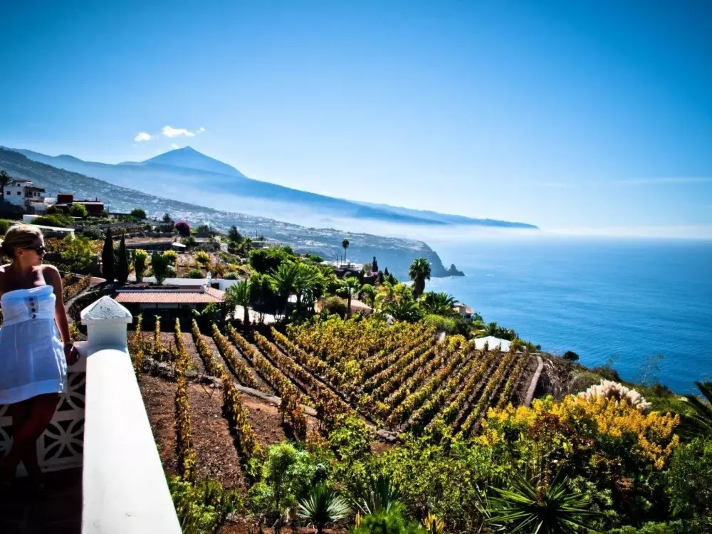 Résidence Wohnung in La Matanza De Acentejo mit Terrasse, gemeinsamem Pool und Garten