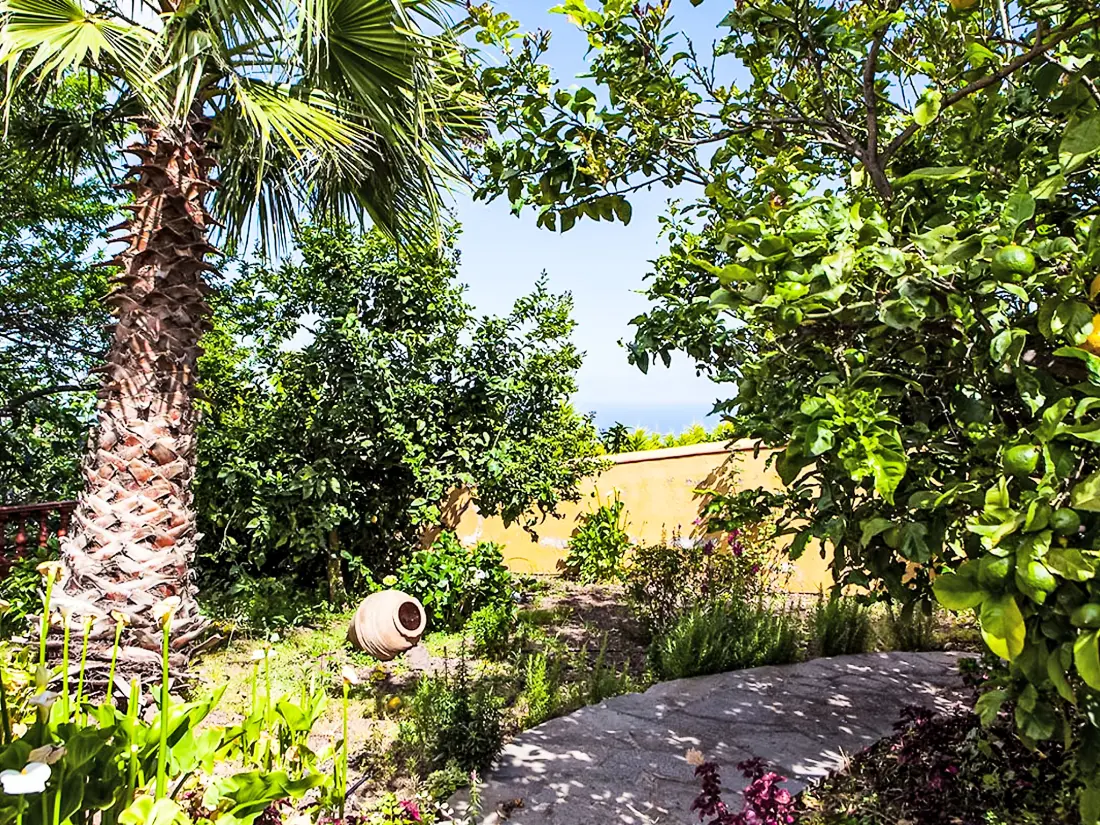 Maison de Vacances La Orotava