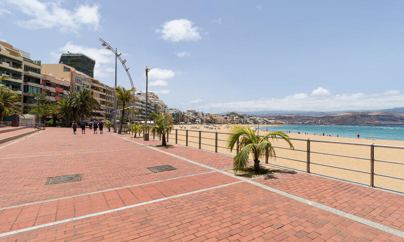Maison à Las Palmas de Gran Canaria - - Las Palmas de Gran Canaria - 33