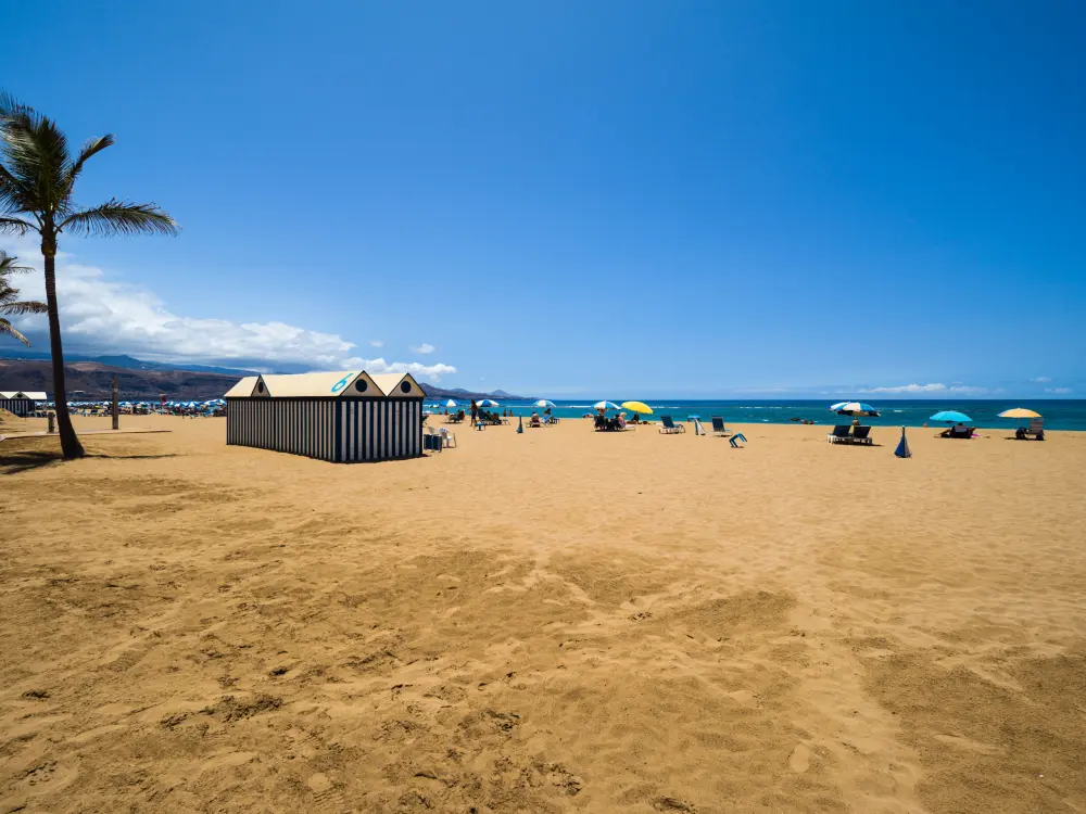 Maison à Las Palmas de Gran Canaria