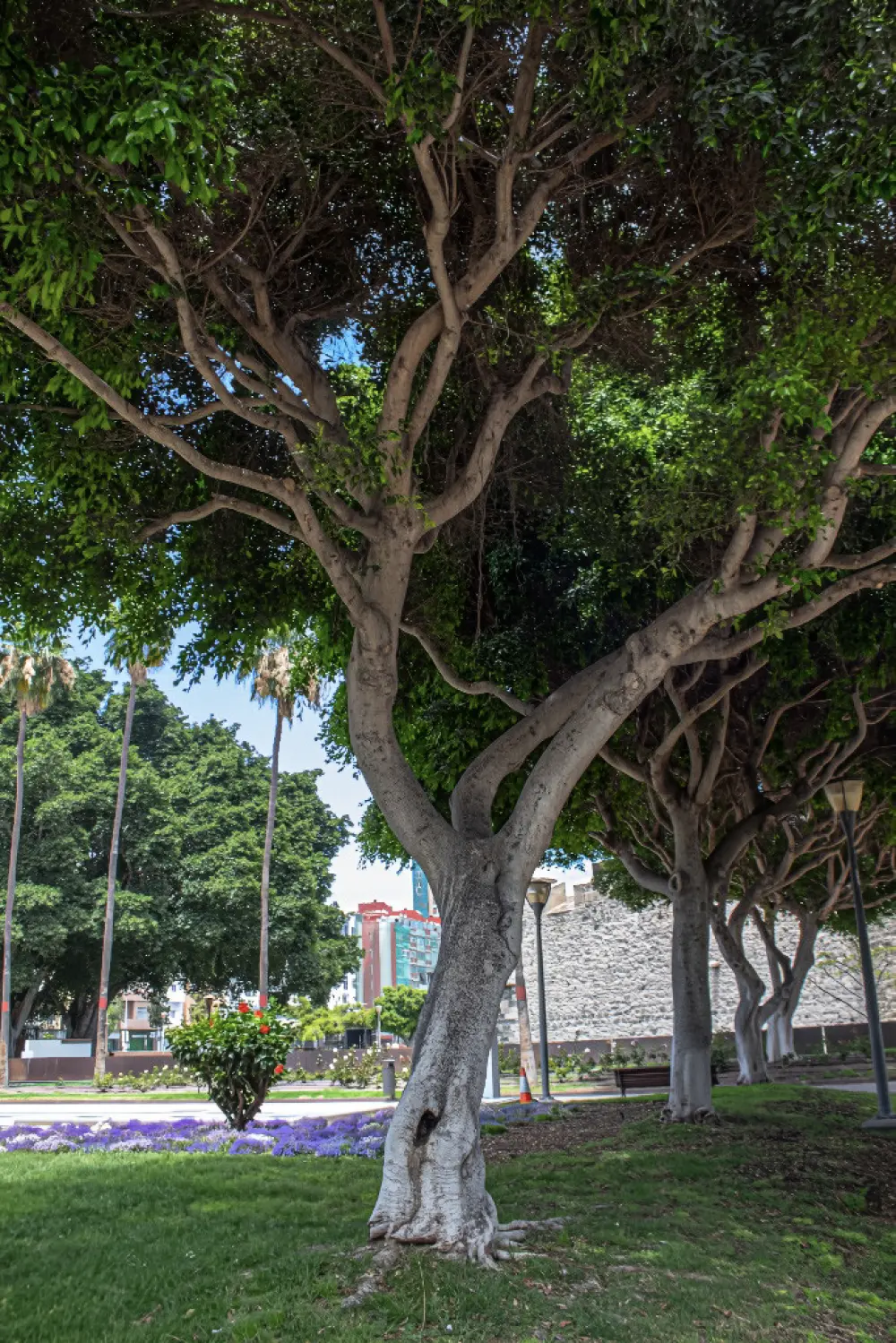 Maison à Las Palmas de Gran Canaria