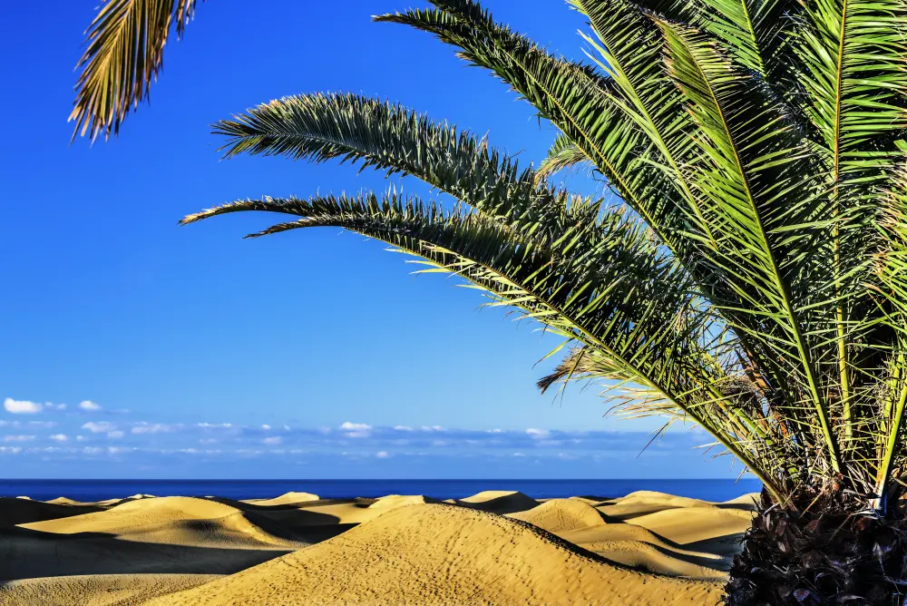 Maison à Las Palmas de Gran Canaria