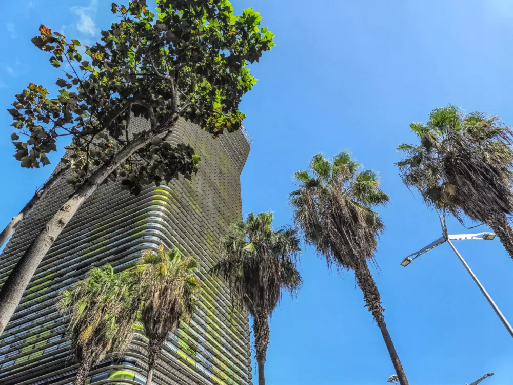 Studio à Las Palmas de Gran Canaria