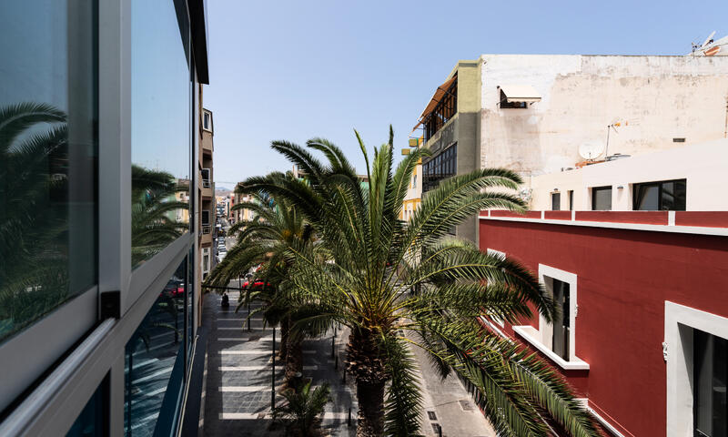 Studio à Las Palmas de Gran Canaria - - Las Palmas de Gran Canaria - 14