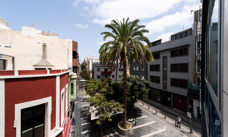 Studio à Las Palmas de Gran Canaria - - Las Palmas de Gran Canaria - 16