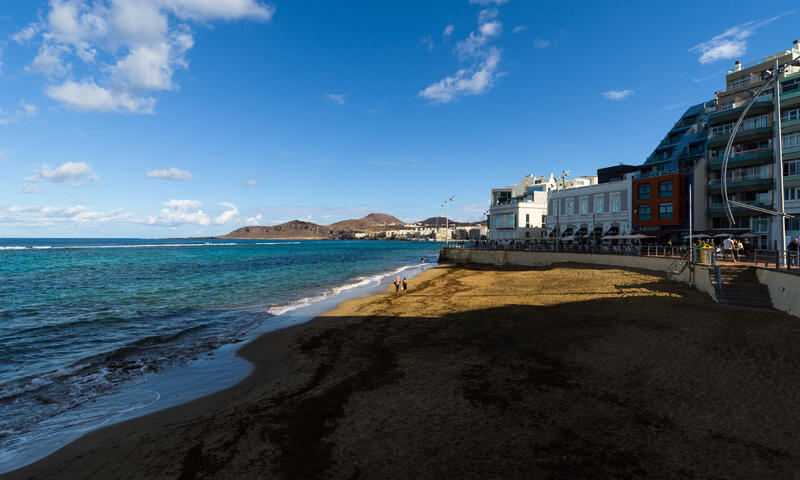 Studio à Las Palmas de Gran Canaria - - Las Palmas de Gran Canaria - 31