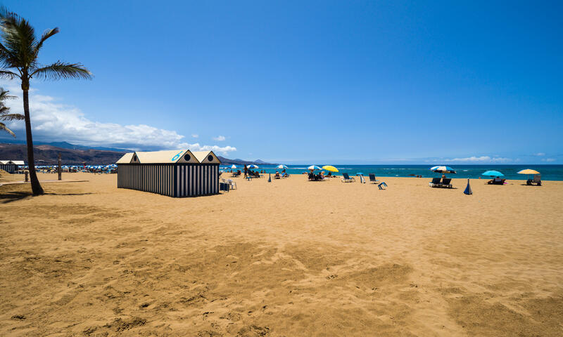 Studio à Las Palmas de Gran Canaria - - Las Palmas de Gran Canaria - 19