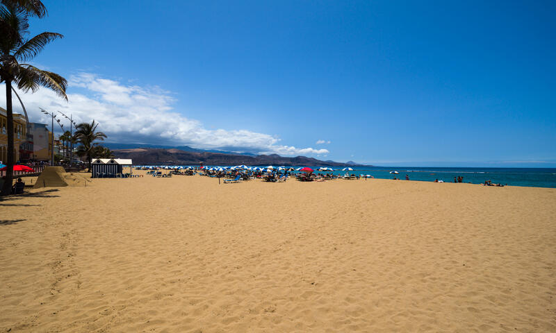 Studio à Las Palmas de Gran Canaria - - Las Palmas de Gran Canaria - 20