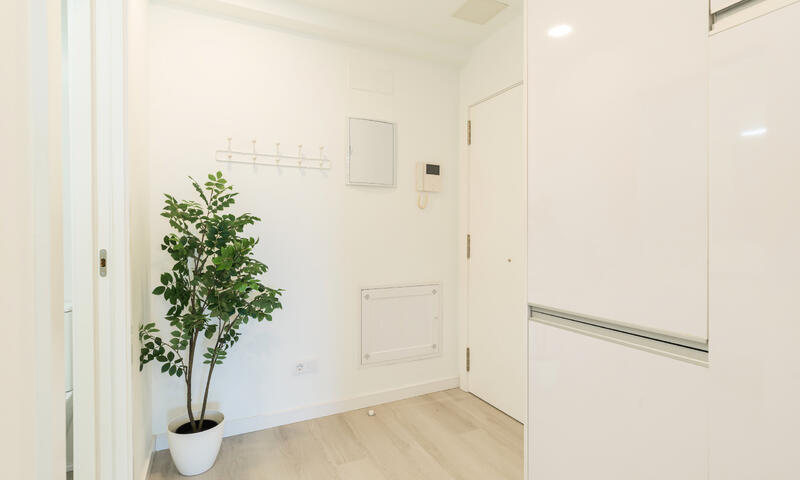 Studio à Las Palmas de Gran Canaria - - Las Palmas de Gran Canaria - 22