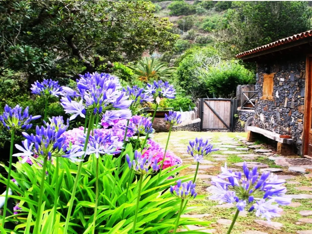 Maison de Vacances Las Rosas