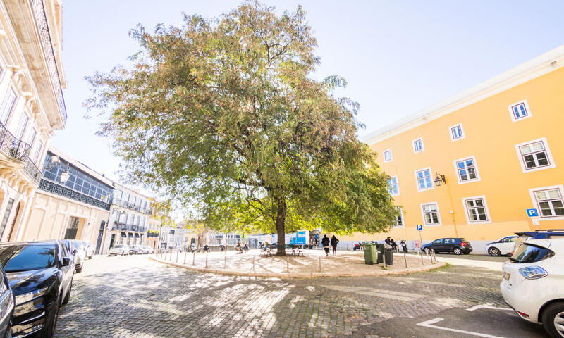 Appartements à Lisbonne - - Lisbonne - 24
