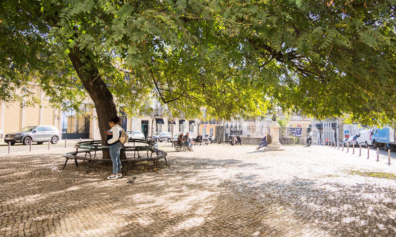 Appartements à Lisbonne - - Lisbonne - 25