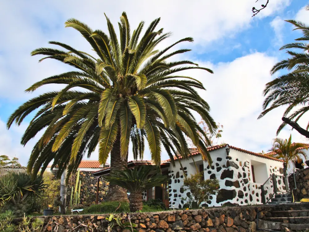 Maison de Vacances Llanos de Aridane