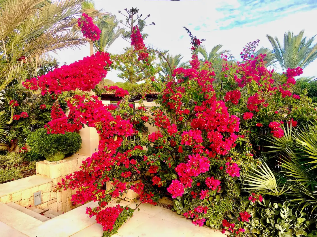 Maison de Vacances Llombards/C.Llombards/C.S'Almonia