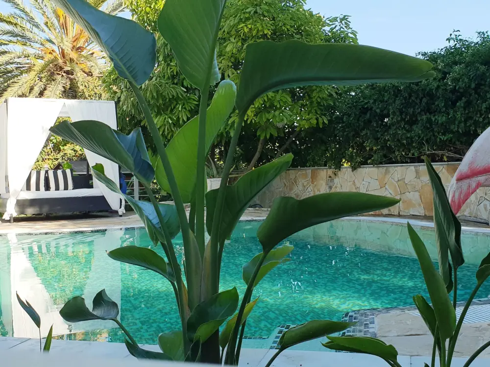 Maison de Vacances Los LLanos