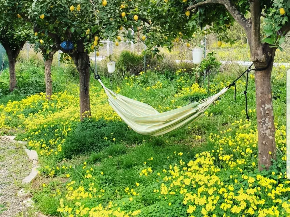 Maison de Vacances Los LLanos