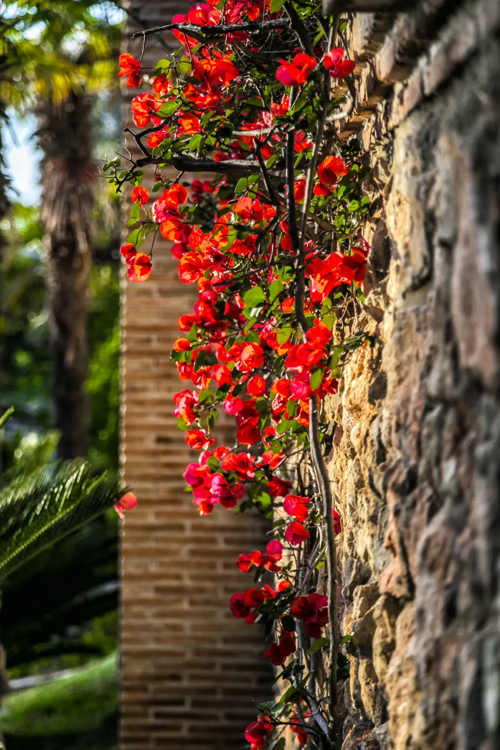 Maison à Málaga