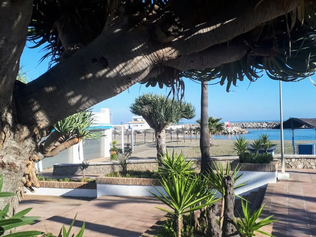 Résidence Luxuriöses Apartment am Strand