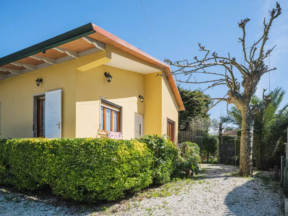 Maison de Vacances Marina Pietrasanta