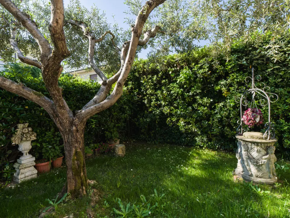 Maison de Vacances Marina Pietrasanta