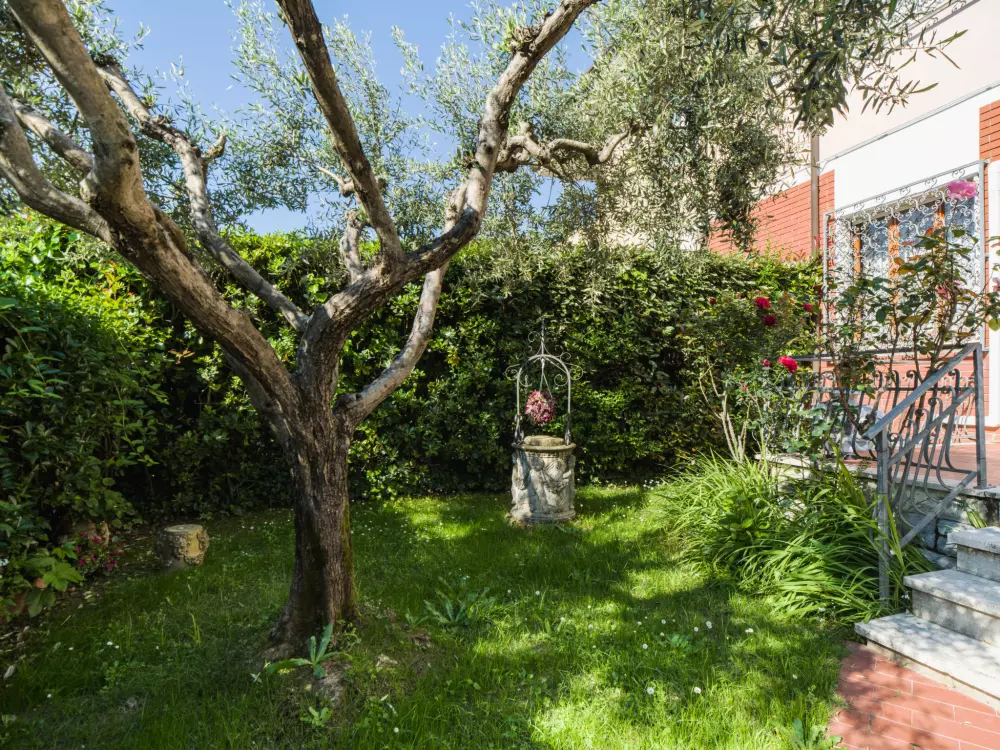 Maison de Vacances Marina Pietrasanta