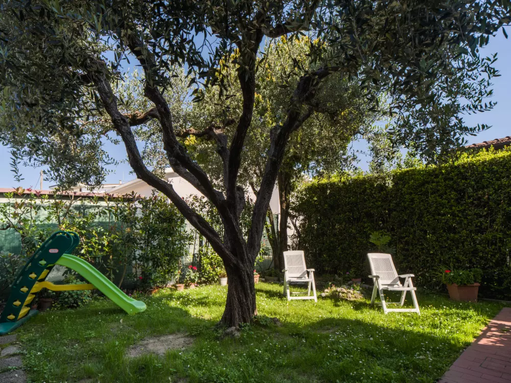 Maison de Vacances Marina Pietrasanta