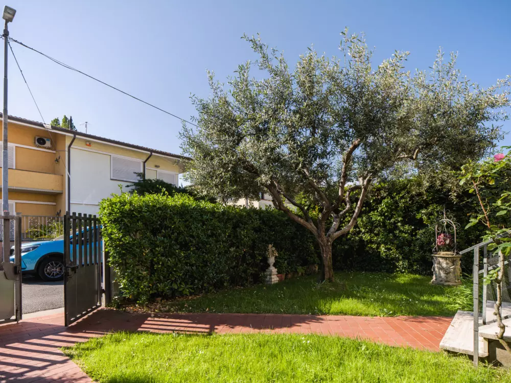 Maison de Vacances Marina Pietrasanta