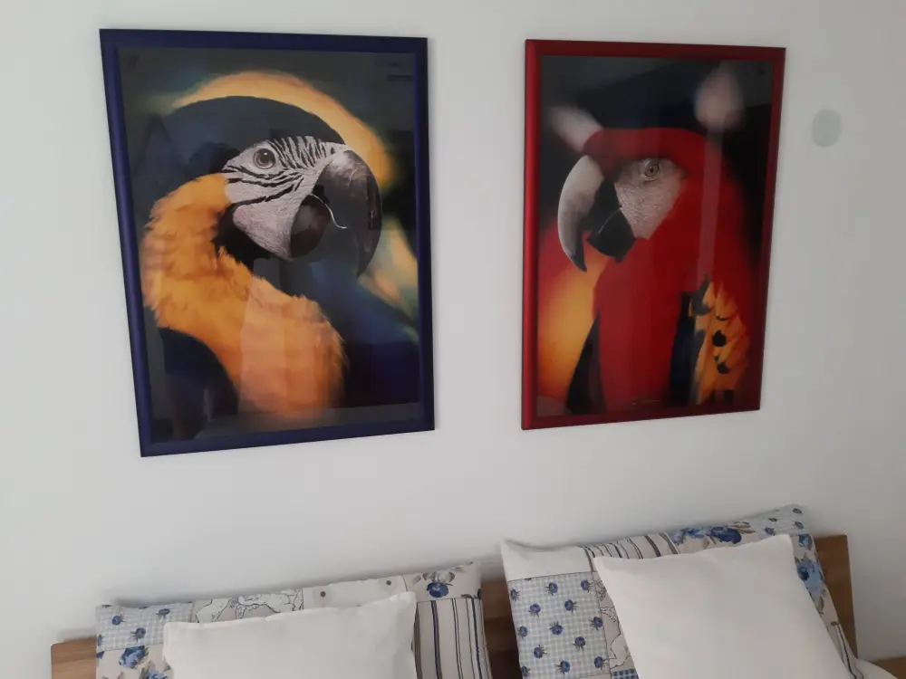 Résidence Gran Canaria