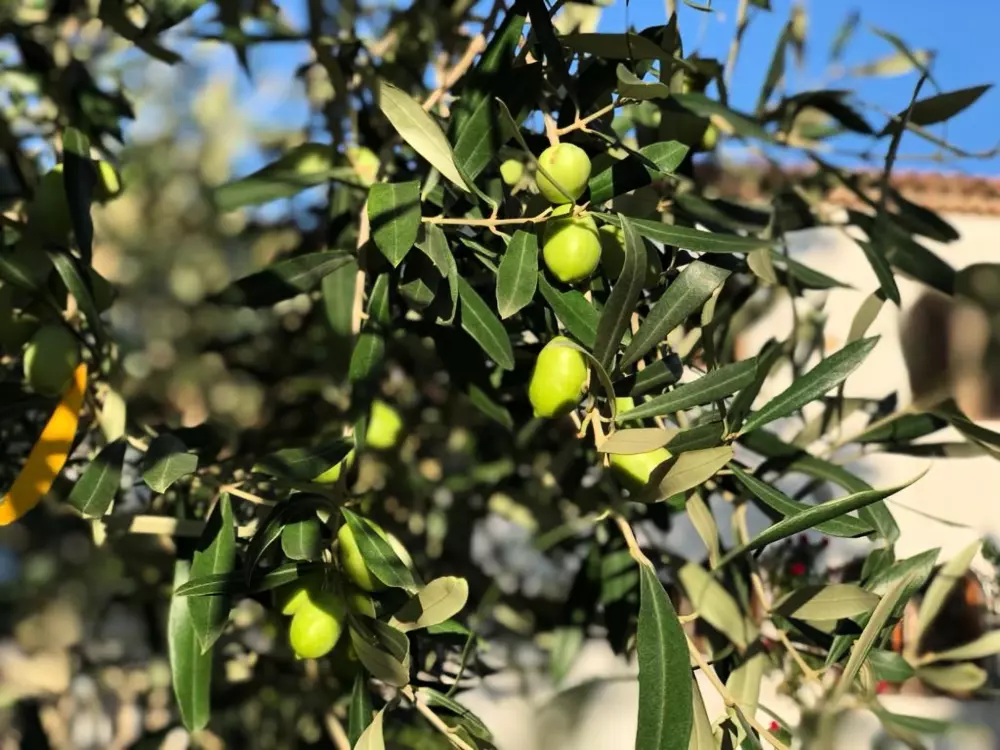 Maison de Vacances Miami Platja